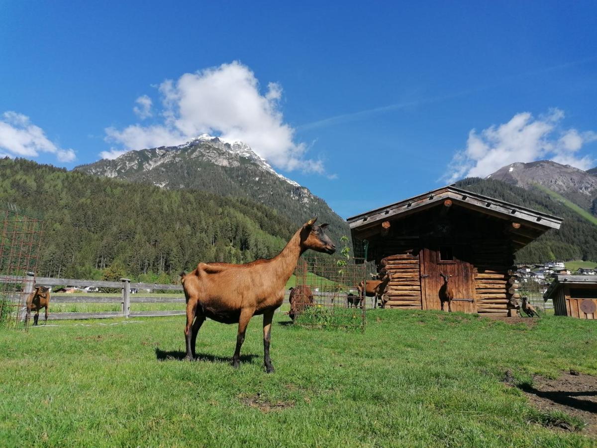 Schottenhof Fulpmes Exteriör bild