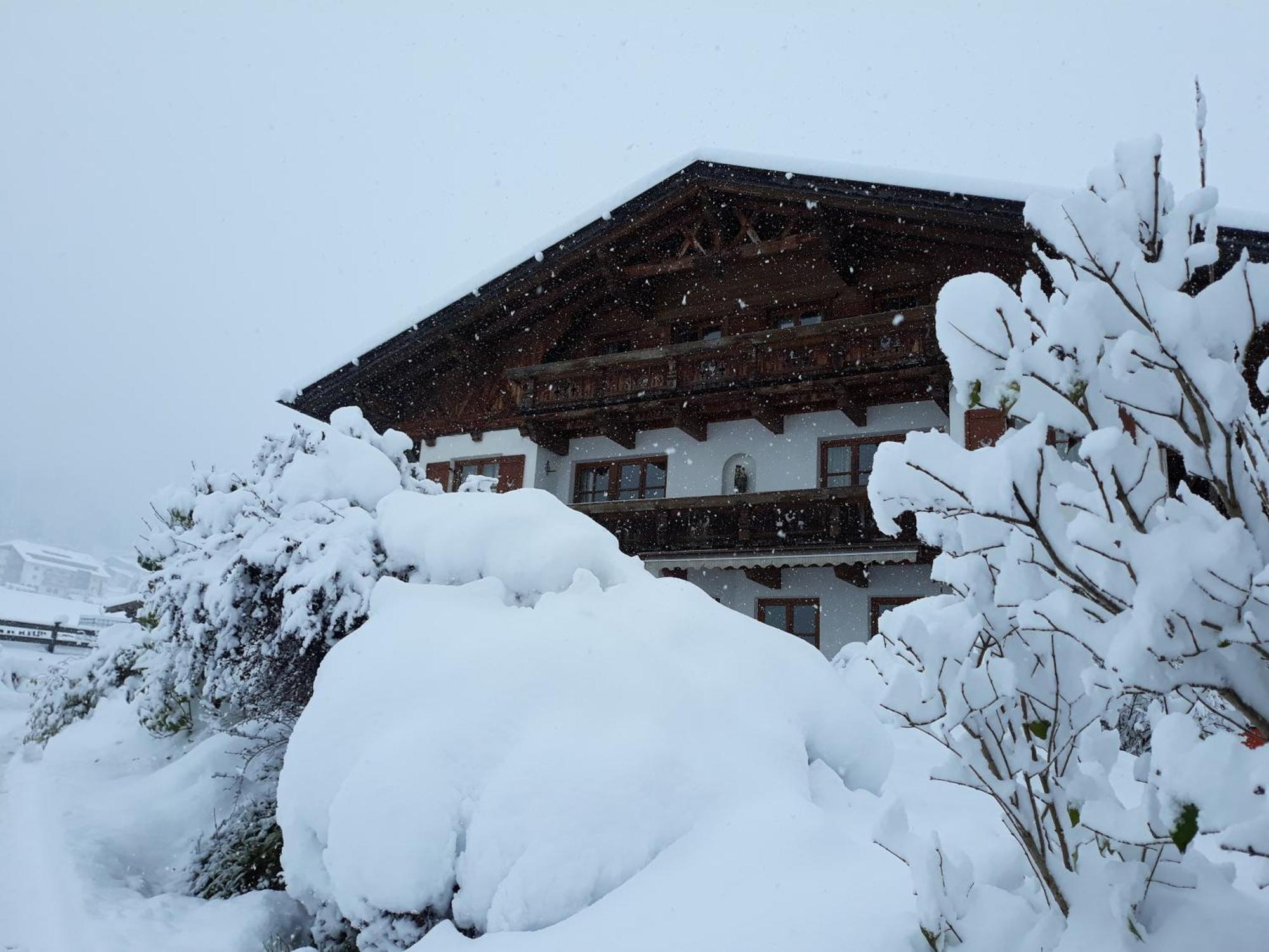 Schottenhof Fulpmes Exteriör bild