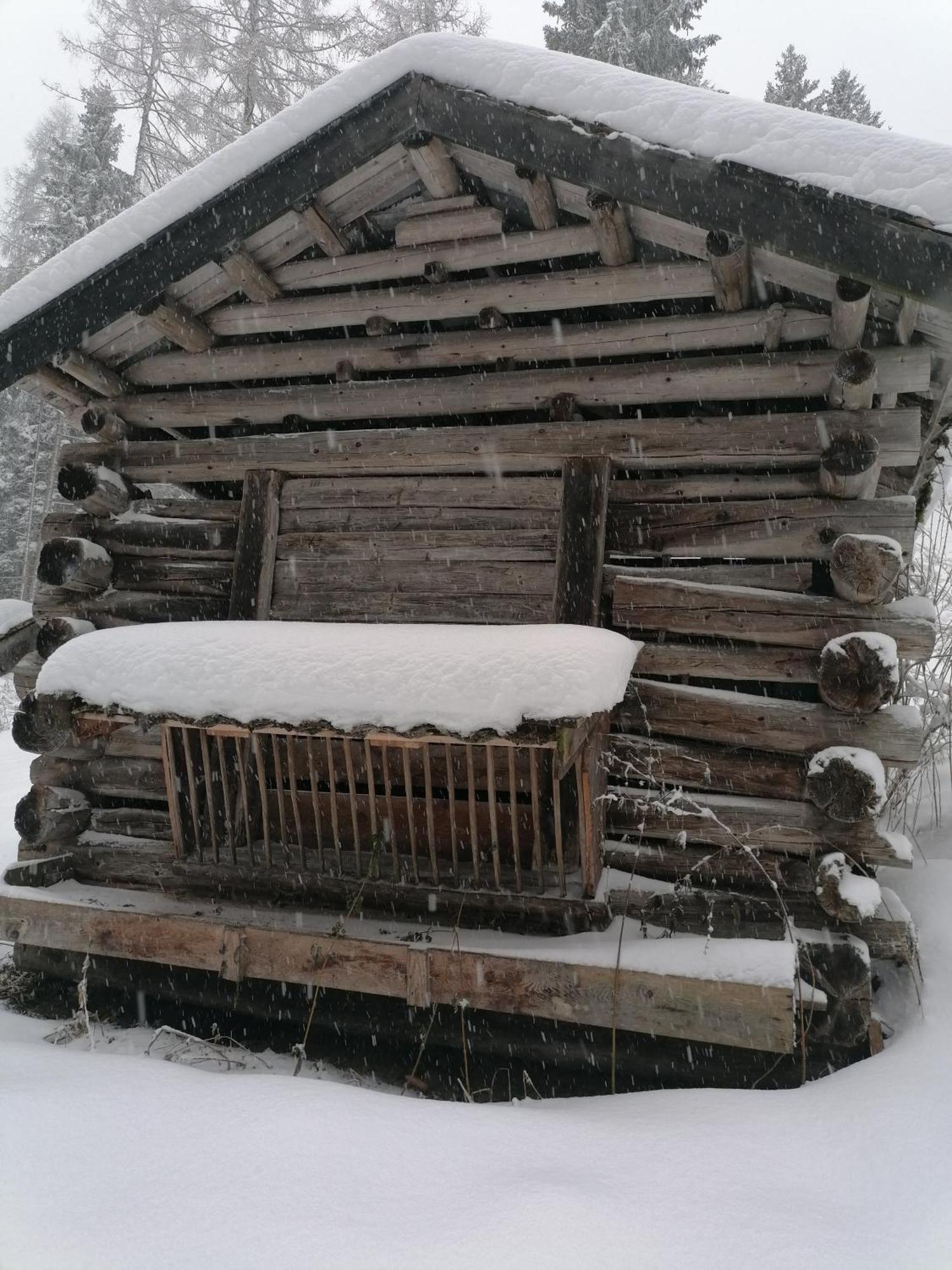 Schottenhof Fulpmes Exteriör bild