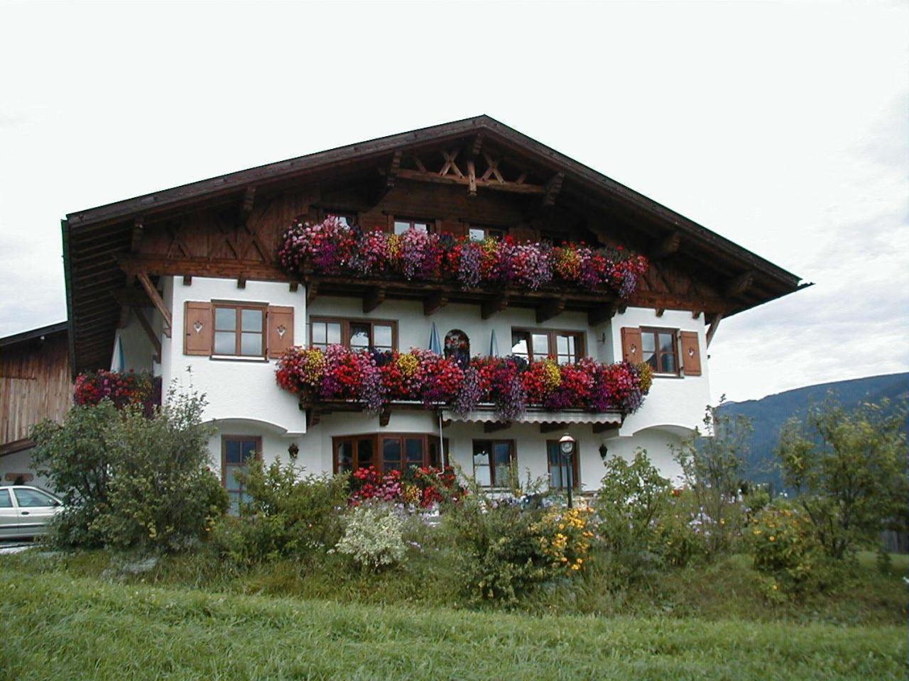 Schottenhof Fulpmes Exteriör bild