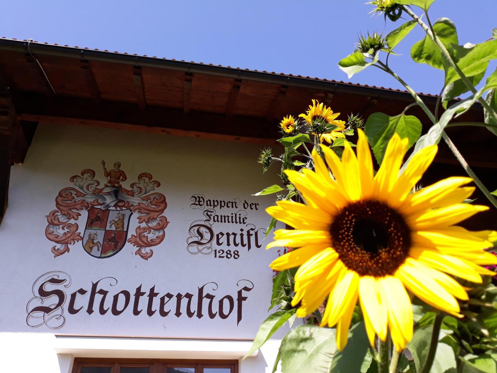 Schottenhof Fulpmes Exteriör bild