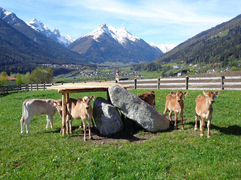 Schottenhof Fulpmes Exteriör bild